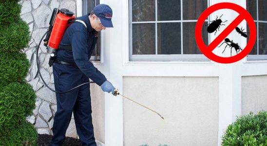 Pınarbaşı Kemirgen İlaçlama böcek ilaçlama ve haşere kontrolü — ilaclama-tr.com